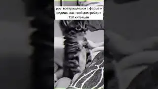 #раст