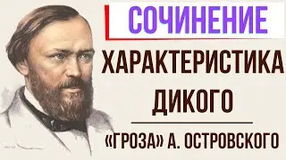 Характеристика Дикого в пьесе «Гроза» А. Островского