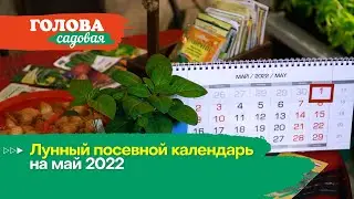 Голова садовая - Лунный посевной календарь на МАЙ 2022