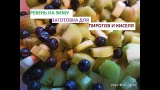 Заготовим ревень на зиму.