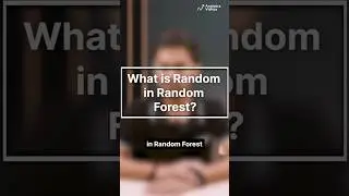 What’s “Random” in Random Forest? Explained in Simple Terms! 🌳🤖