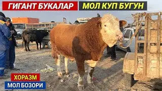 ХОРАЗМ УРГАНЧ МОЛ БОЗОРИ 10-ДЕКАБР БУГУН БОЗОР ТУ́ЛДИ !!! ХОРАЗМ БОЗОР