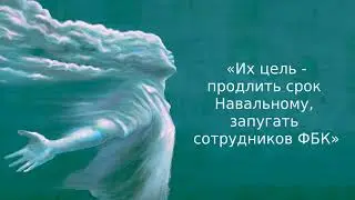 «Их цель - продлить срок Навальному, запугать сотрудников ФБК» | Дайджест «Время Свободы»