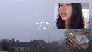 cozy homebody vlog | connecting with my inner child, new year journalling & more