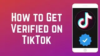 How to Get Verified on TikTok - Our Top 4 Tips!