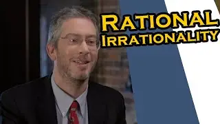 What is Rational Irrationality? Compact Explanation