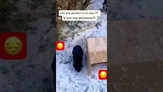 Кто это делает, и в чем они виноваты …