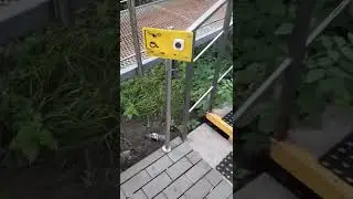 Мусор в урну не бросать!!!