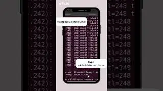 Настройка сети в Linux // OTUS  #linux #programming #хочуврекомендации