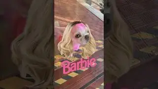 парные прически😶🐶 