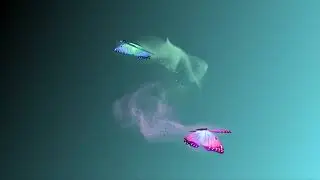 ДВЕ БАБОЧКИ
