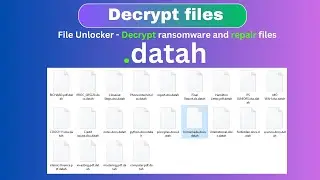Decrypt Ransomware in Minutes and Save Your Files -  .datah #recoverfiles