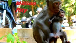 Terrifying! Why kidnapper torturing baby like this, Million pity poor baby monkey