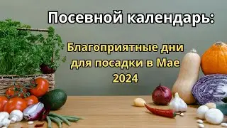 Посевной календарь: Благоприятные дни для посадки в Мае 2024