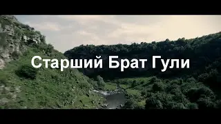 Старший Брат Гули 