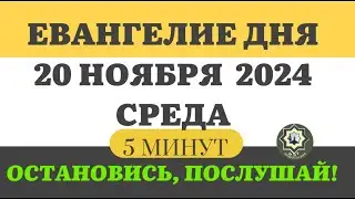 20 НОЯБРЯ СРЕДА   ЕВАНГЕЛИЕ ДНЯ 5 МИНУТ АПОСТОЛ МОЛИТВЫ 2024 #мирправославия