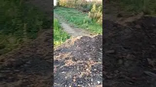 Атомпарк-2: бюджет освоен ч.1
