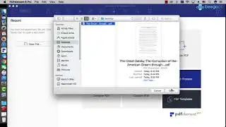 How to Convert PDF to Text on Mac ?