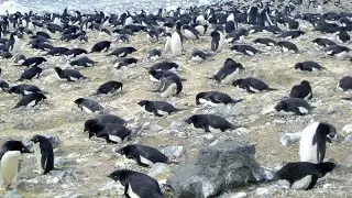 Devil Island, James Ross Island group, Antarctica, South Pole