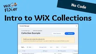 Intro to WiX Collections - Managing Data in WiX - WiX CRM | No Code