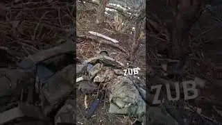 Бахмут . 