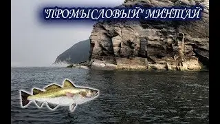 Минтай. Русская Рыбалка 3.99.
