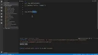 video23 15 Function arguments and parameters