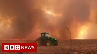 Spike in wildfires in Brazils Amazon rainforest - BBC News