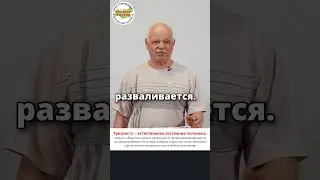 2024 - Год трезвой семьи! #трезвость #семья #годсемьи #тюмень #трезваятюмень #трезваяроссия #зверев