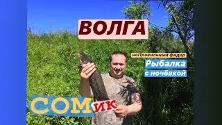 Рыбалка на Волге. Фидер. Ночь на реке. СОМ!!! Прикормка на леща.