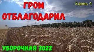 Уборка Озимой Пшеницы 2022 в Краснодарском Крае  / Урожайность Пшеницы  / Убираем Сорт ГРОМ.