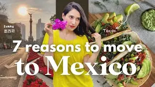 🌮why Living in Mexico is GREAT🇲🇽 |为什么住在墨西哥是一个好选择