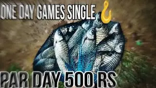 500ଟଙ୍କା ଦେବାକୁ ପଡେ ମାଛ ଧରିବା ପାଁଇ !! single hook fishing !!  !! ସେ ମଜା ପୁରା ଅଲଗା   !!