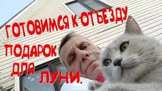 ГОТОВИМСЯ К ОТЪЕЗДУ.УТРО.ЛУНЯ ПРОСЫПАЕТСЯ.КУПИЛ РЮКЗАК-ПЕРЕНОСКУ ДЛЯ ПРОГУЛОК.