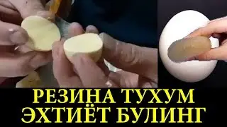 РЕЗИНА ТУХУМ ПАЙДО БУЛДИ ОГОХ БУЛИНГ!!!