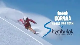Gorilla Energy Pro Team Spring Shreding