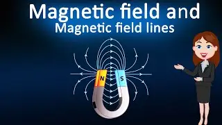 Magnetic field and magnetic field lines || 3D animated explanation || Magnetic field || Class 10th
