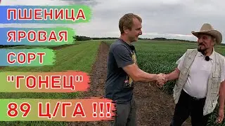 Интервью С Лучшим Селекционером Сибири
