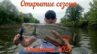 Открытие сезона. Спиннинг 2021. Такого клёва давно не было.