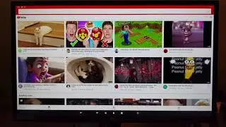 VOLKSPC-Debian Bulllseye XFCE desktop running on Android 10