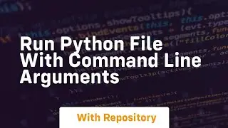 run python file with command line arguments