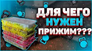 Прижим для микрозелени! Для чего он нужен? Бизнес микрозелень!