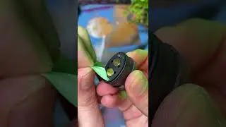 Best Vape Pods Ever