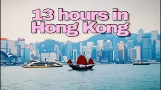 Hong Kong Layover Vlog 🇭🇰✈️ | Kowloon, Snake Soup, Star Ferry, Central Hong Kong Bar Hopping 🍸