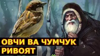 Овчи ва Чумчук хикоя ривоят