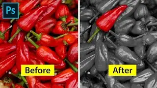 Cara Edit Foto Hitam Putih Sebagian di Photoshop
