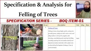 Specification for felling of trees | Analysis of Tree Cutting | BOQ Specification # 01