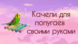 Качели для попугаев своими руками| КАК СДЕЛАТЬ ИГРУШКИ СВОИМИ РУКАМИ |   Hand Made | dashonok