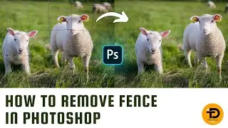 How To Remove Fence In Photoshop 2024