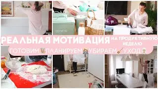 🐝 ПОДГОТОВКА К ПРОДУКТИВНОЙ НЕДЕЛЕ🐝/ РЕАЛЬНАЯ МОТИВАЦИЯЗАГОТОВКИ ПЛАНИРОВАНИЕ УБОРКА И УХОД🧖🏼‍♀️